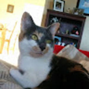 Meet your Posher, Ann marie